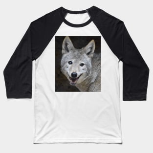 Coyote Baseball T-Shirt